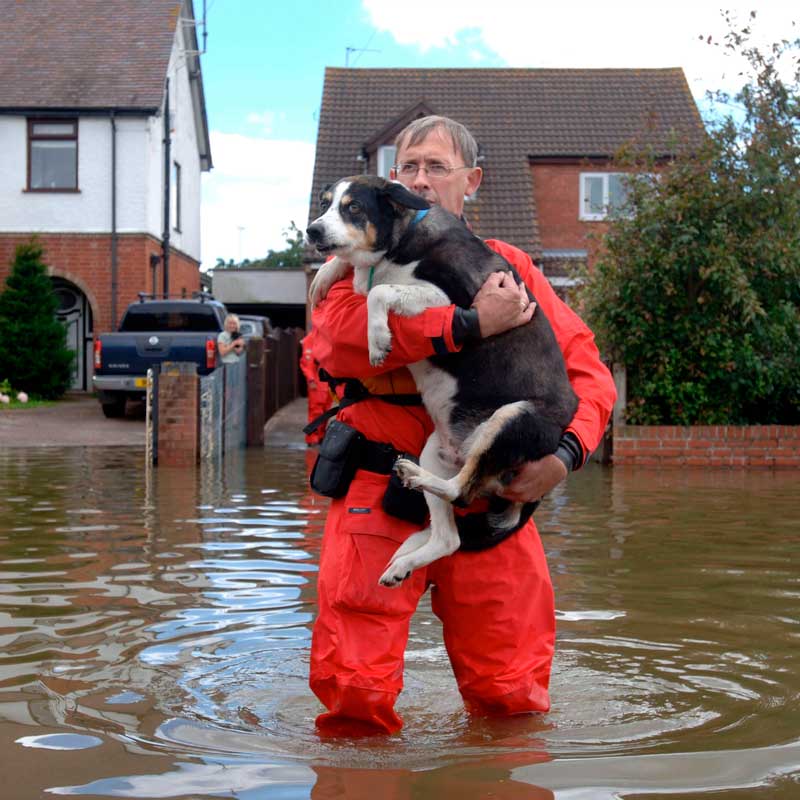 Flood-rescue-officer_800x800