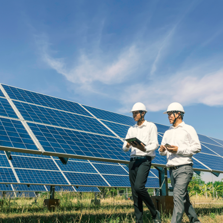 men-walking-in-front-of-solar-panels